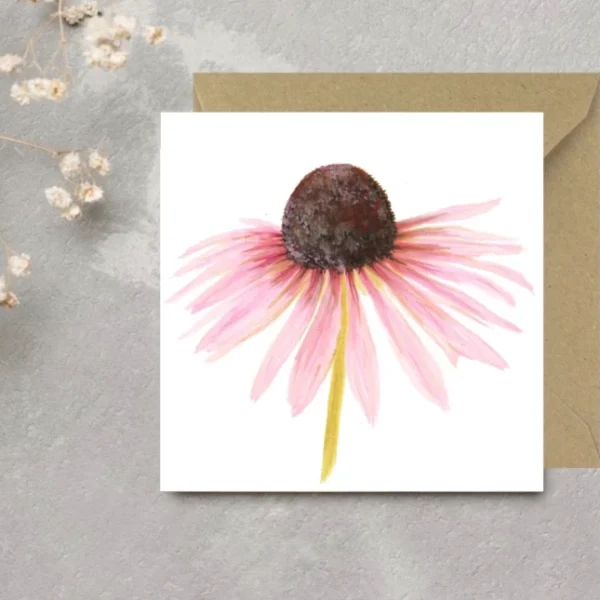 Kittiwake Fine Art - Echinacea Flower Blank Card