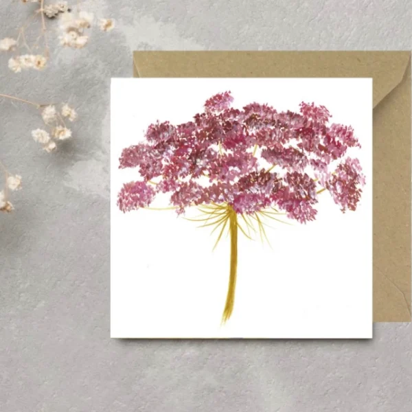 Kittiwake Fine Art - Wild Red Carrot Flower