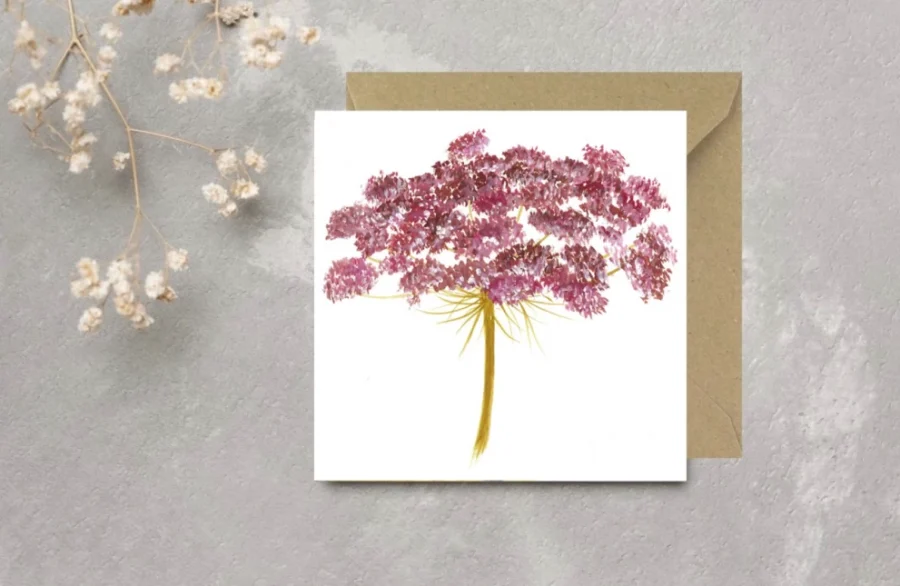 Kittiwake Fine Art - Wild Red Carrot Flower